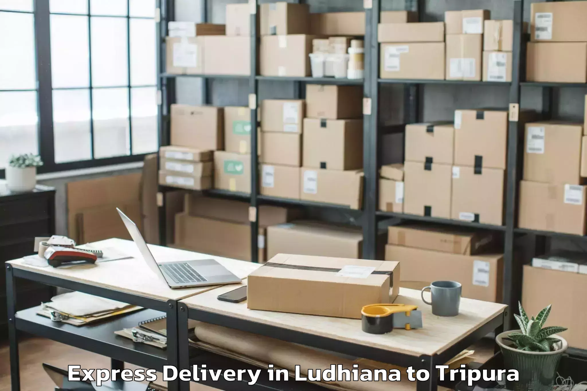 Get Ludhiana to Kakraban Express Delivery